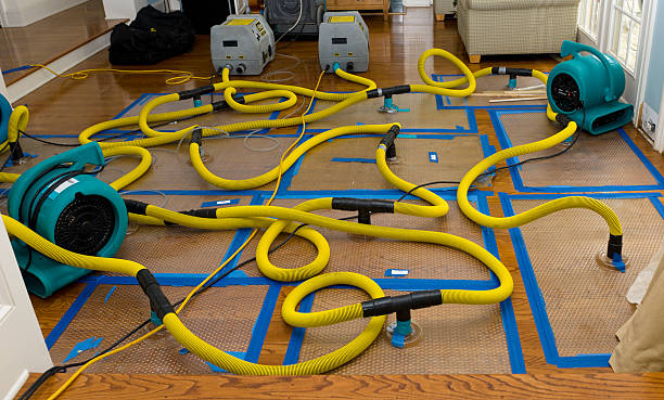 Professional Sewage Cleanup technician working in Leaf River, IL