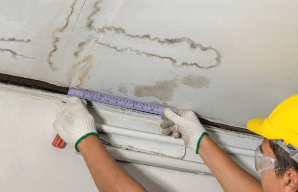 Affordable Water Damage Repair solutions in Leaf River, IL